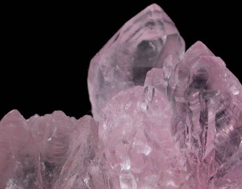 Quartz var. Rose Quartz Crystals from Lavra da Ilha, Taquaral, Jequitinhonha River, Minas Gerais, Brazil