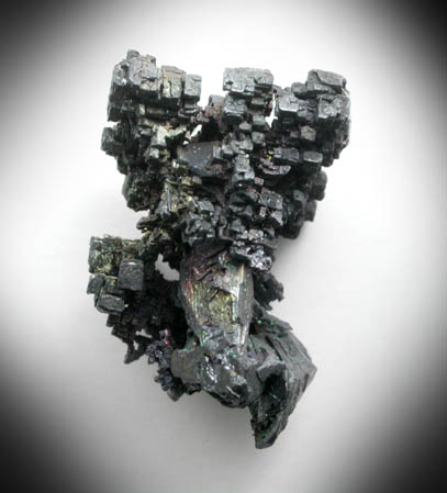 Acanthite on Polybasite from Fresnillo District, Zacatecas, Mexico