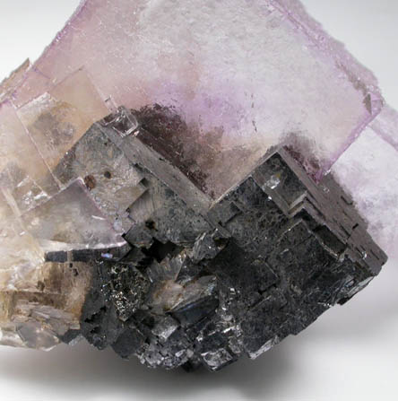 Fluorite over Galena from Elmwood Mine, Carthage, Smith County, Tennessee