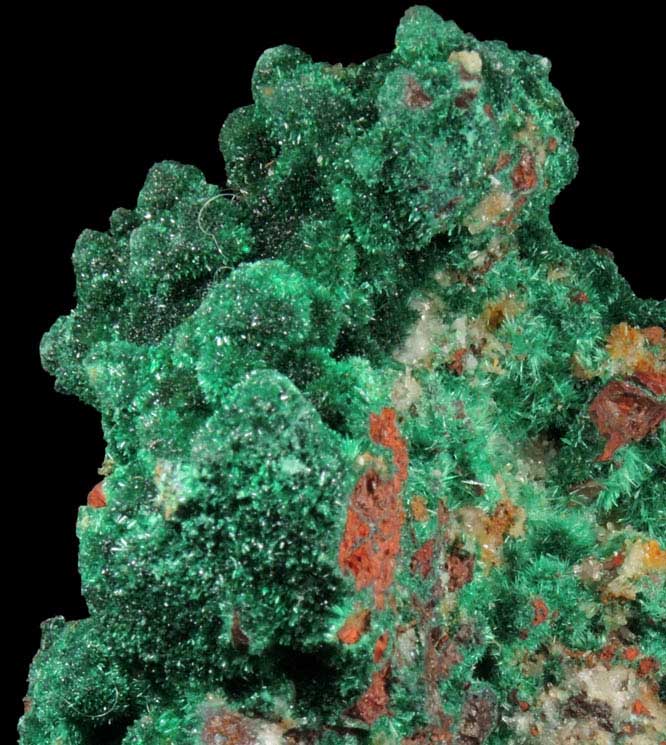 Malachite from Bou Beker Mine, 21 km SSE of Oujda, Errachidia Province, Morocco