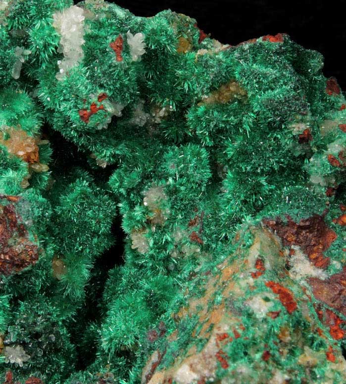 Malachite from Bou Beker Mine, 21 km SSE of Oujda, Errachidia Province, Morocco