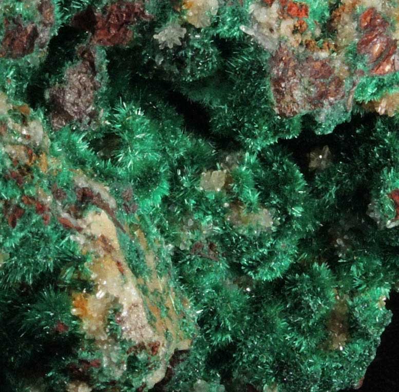 Malachite from Bou Beker Mine, 21 km SSE of Oujda, Errachidia Province, Morocco