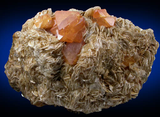 Scheelite on Muscovite from Xuebaoding Mountain near Pingwu, Sichuan Province, China