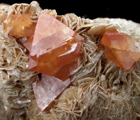 Scheelite on Muscovite from Xuebaoding Mountain near Pingwu, Sichuan Province, China