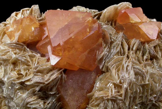 Scheelite on Muscovite from Xuebaoding Mountain near Pingwu, Sichuan Province, China