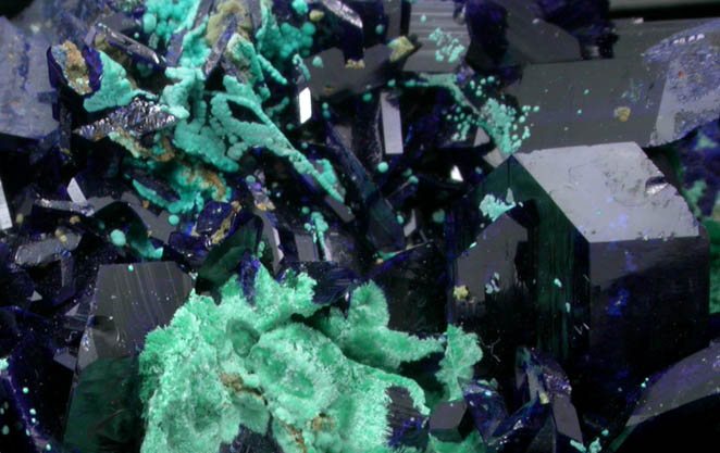 Azurite with Malachite pseudomorphs after Azurite from Tsumeb Mine, Otavi-Bergland District, Oshikoto, Namibia