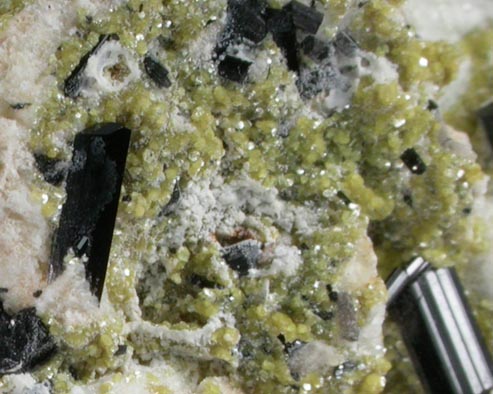 Sudoite and Schorl Tourmaline on Albite from Kara Oba (Dzhambul), Betpakdala Desert, Karaganda Oblast', Kazakhstan