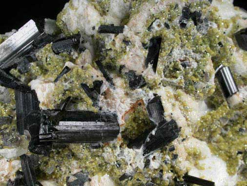 Sudoite and Schorl Tourmaline on Albite from Kara Oba (Dzhambul), Betpakdala Desert, Karaganda Oblast', Kazakhstan