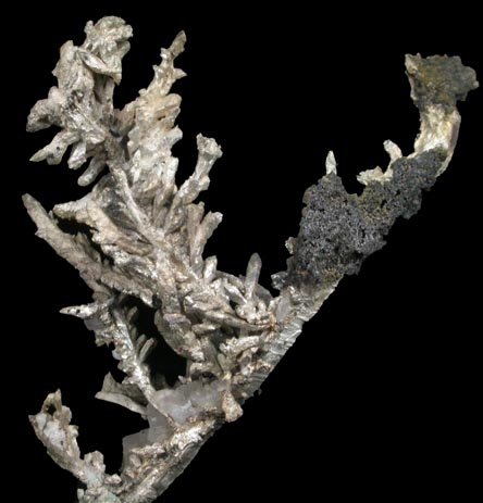 Silver from White Pine Mine, Ontonagon County, Michigan