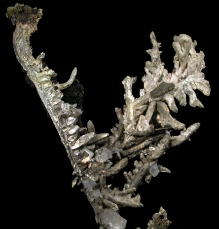 Silver from White Pine Mine, Ontonagon County, Michigan