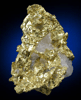 Gold with Quartz from Sixteen-To-One Mine (16 to 1 Mine), Alleghany, 35 km NE of Grass Valley, Sierra County, California