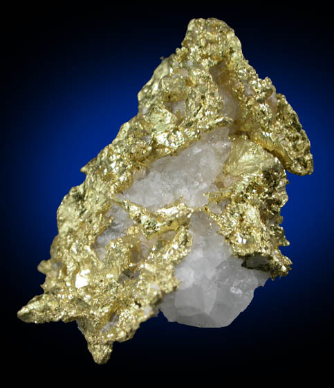 Gold with Quartz from Sixteen-To-One Mine (16 to 1 Mine), Alleghany, 35 km NE of Grass Valley, Sierra County, California