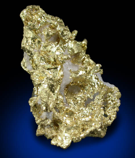 Gold with Quartz from Sixteen-To-One Mine (16 to 1 Mine), Alleghany, 35 km NE of Grass Valley, Sierra County, California