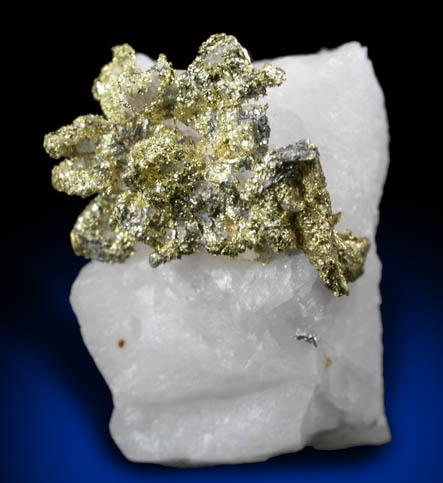 Gold on Quartz from Sixteen-To-One Mine (16 to 1 Mine), Alleghany, 35 km NE of Grass Valley, Sierra County, California