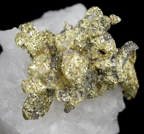 Gold on Quartz from Sixteen-To-One Mine (16 to 1 Mine), Alleghany, 35 km NE of Grass Valley, Sierra County, California