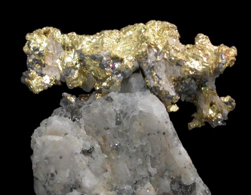 Gold on Quartz from Angels Camp, Calaveras County, California