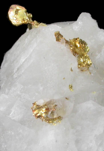 Gold on Quartz from Nighthawk Lake Area, Ontario, Canada