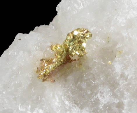 Gold on Quartz from Excelsior Mountains, Mineral County, Nevada