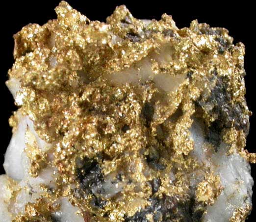 Gold on Quartz from Ericson Mine, Cassiar, British Columbia, Canada