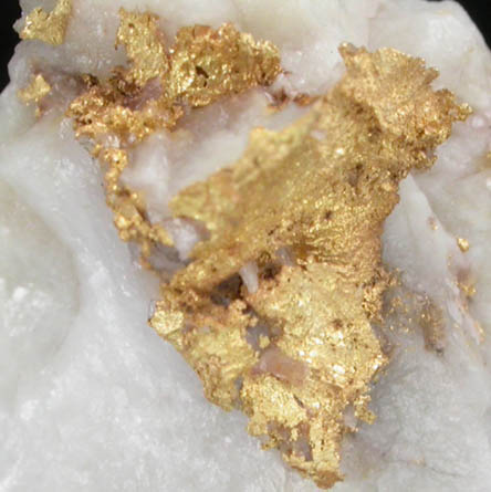 Gold on Quartz from Quartzburg, Mariposa County, California