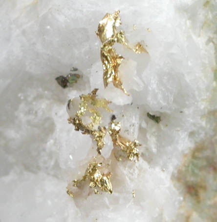 Gold on Quartz from Nighthawk Lake Area, Ontario, Canada