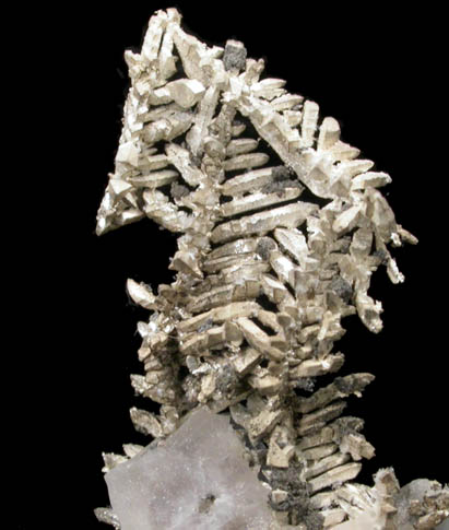 Silver in Calcite from Andres del Rio District, Batopilas, Chihuahua, Mexico