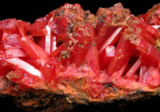 Crocoite from Red Lead Mine, Dundas, Tasmania, Australia