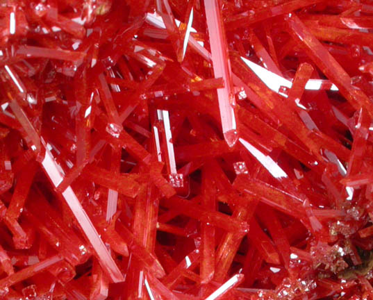 Photographs mineral No. 55886: Crocoite from Red Mine, Dundas, Tasmania, Australia