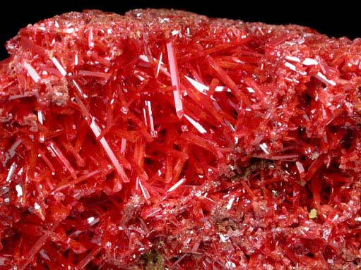 Crocoite from Red Lead Mine, Dundas, Tasmania, Australia