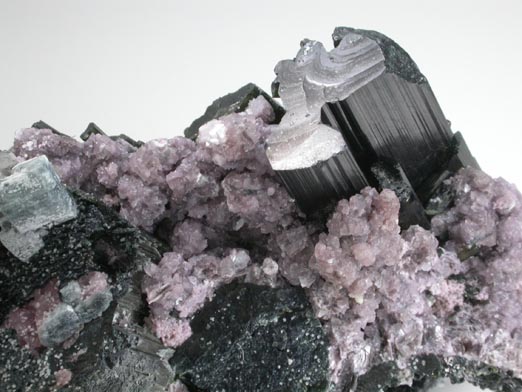 Lepidolite and Fluorapatite on Elbaite Tourmaline from Cruzeiro Mine, So Jose da Safira, Minas Gerais, Brazil