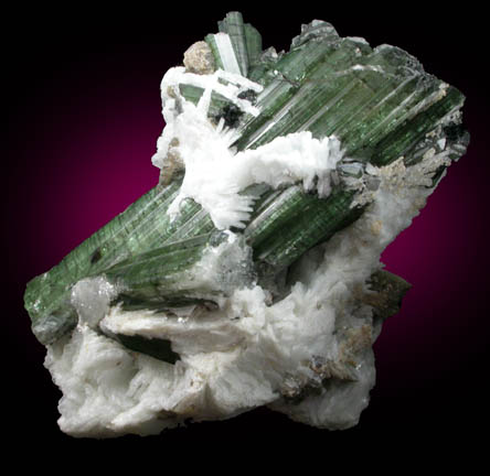 Elbaite Tourmaline with Muscovite and Albite from Cruzeiro Mine, So Jose da Safira, Minas Gerais, Brazil