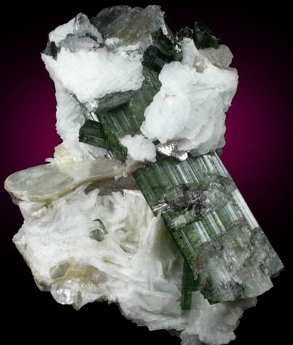 Elbaite Tourmaline with Muscovite and Albite from Cruzeiro Mine, So Jose da Safira, Minas Gerais, Brazil