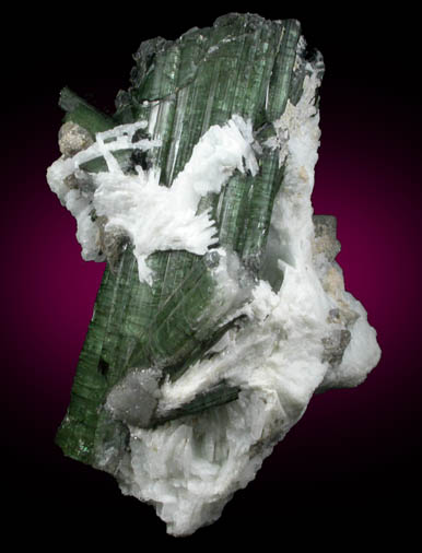 Elbaite Tourmaline with Muscovite and Albite from Cruzeiro Mine, So Jose da Safira, Minas Gerais, Brazil