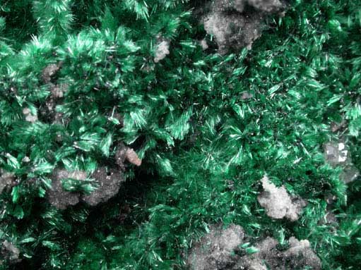 Malachite with Cerussite from Tsumeb Mine, Otavi-Bergland District, Oshikoto., Namibia