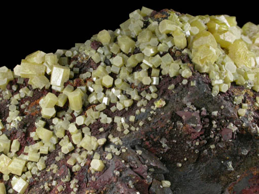 Pyromorphite from Black Star Pit, Mount Isa Mines, Queensland, Australia