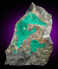 Dioptase from (Harquahala Mine), (La Paz County), (Arizona)