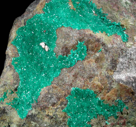 Dioptase from (Harquahala Mine), (La Paz County), (Arizona)