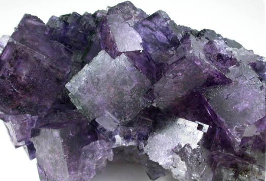 Fluorite on Gypsum from Melchor Muzquiz, Coahuila, Mexico