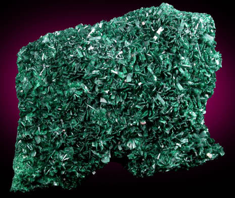 Atacamite from Mount Gunson, South Australia, Australia