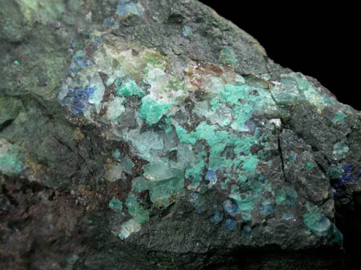 Cuproromeite with Azurite and Chrysocolla from Blind Spring Hill, Benton, Mono County, California (Type Locality for Cuproromeite)