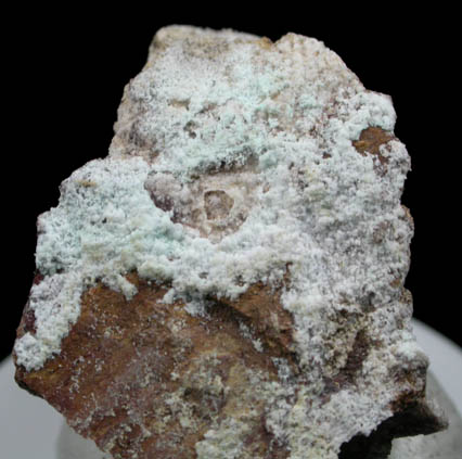 Alpersite (IMA 2003-040) from Big Mike Mine, Pershing County, Nevada (Type Locality for Alpersite)