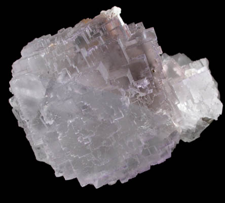 Fluorite from Melchor Muzquiz, Coahuila, Mexico