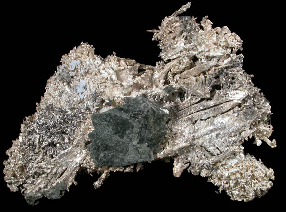 Silver from Andres del Rio District, Batopilas, Chihuahua, Mexico