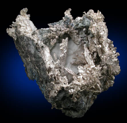 Silver (crystallized) from Andres del Rio District, Batopilas, Chihuahua, Mexico