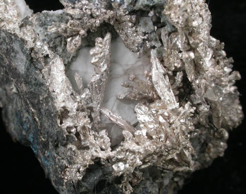 Silver (crystallized) from Andres del Rio District, Batopilas, Chihuahua, Mexico
