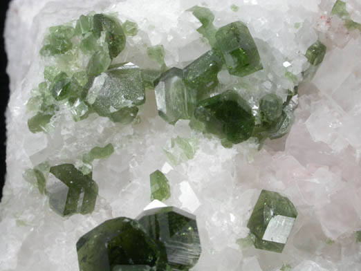 Uvite Tourmaline on Magnesite from Brumado District, Serra das guas, Bahia, Brazil