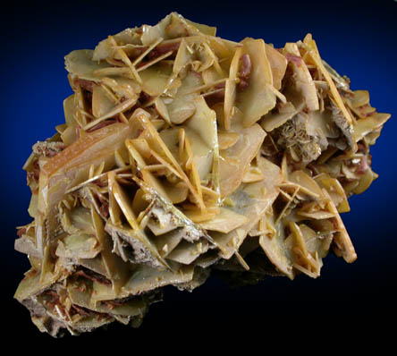 Wulfenite from Stevenson-Bennett Mine, Organ Mountains, Doa Ana County, New Mexico