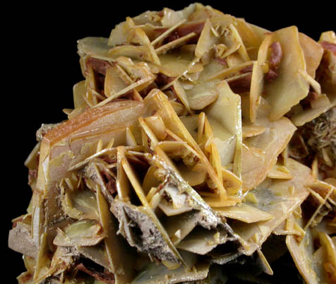 Wulfenite from Stevenson-Bennett Mine, Organ Mountains, Doa Ana County, New Mexico