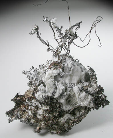 Silver (wire crystals) from New Nevada Mine, Andres del Rio District, Batopilas, Chihuahua, Mexico