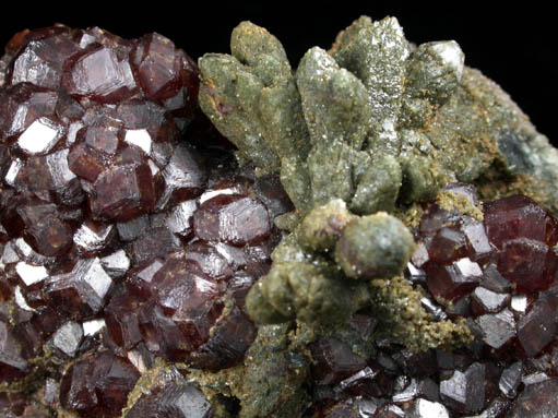 Andradite Garnet with Quartz with Hedenbergite inclusions from Sinerechenskoye deposit, west of Kavalerovo, Primorskiy Kray, Russia